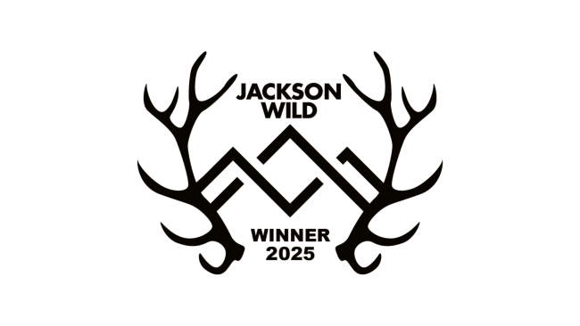Jackson wild 2025